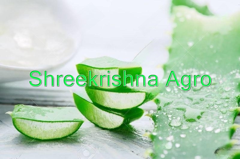 Aloe Vera Extract