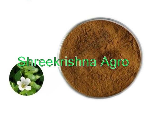 Bacopa Monnieri Extract