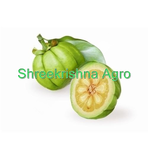 Garcinia Cambogia Extract