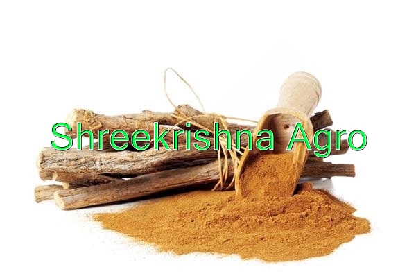 Glycyrrhiza Glabra Extract