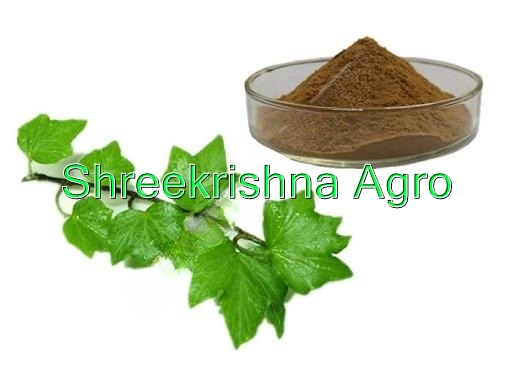 Ivy Leaf Extract