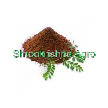 Phyllanthus Niruri Extract