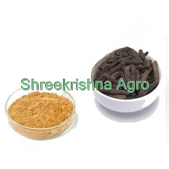 Piper Longum Extract