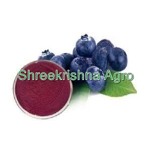 Blackberry Extract