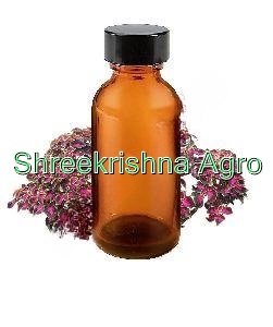 Coleus Oil