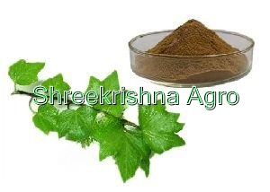 Ivy Leaf Extract