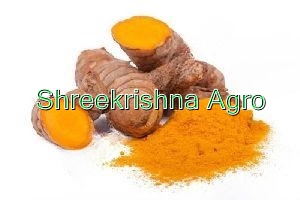 Turmeric Extract
