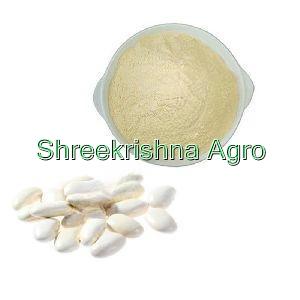 White Kidney Extract